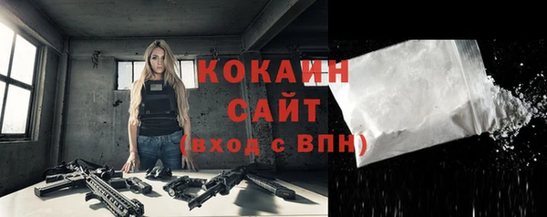 мдпв Богданович