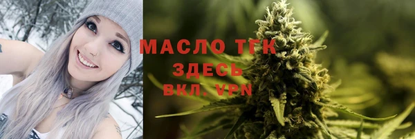 мдпв Богданович
