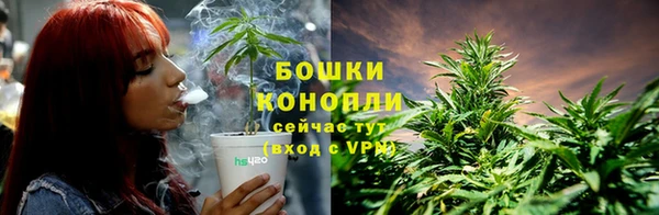 мдпв Богданович