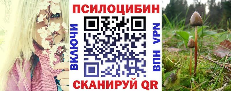Псилоцибиновые грибы Psilocybine cubensis купить мега tor Волжский